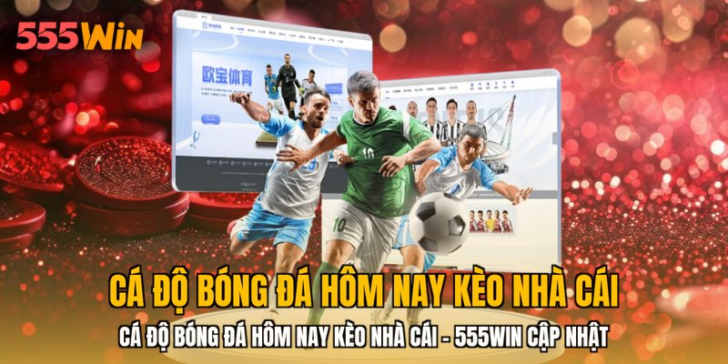 Cá Độ Bóng Đá Hôm Nay Kèo Nhà Cái - 555WIN Cập Nhật