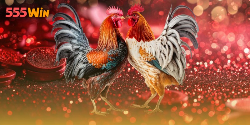 Phân tích chiến kê trước khi trận đấu bắt đầu